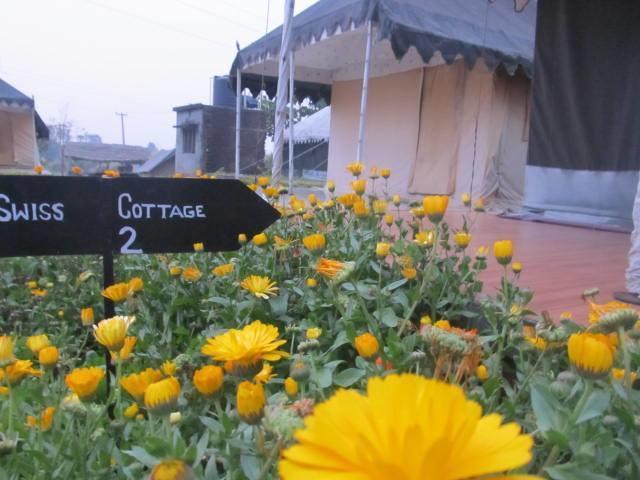 Derra Camp And Resort Jhājra Esterno foto